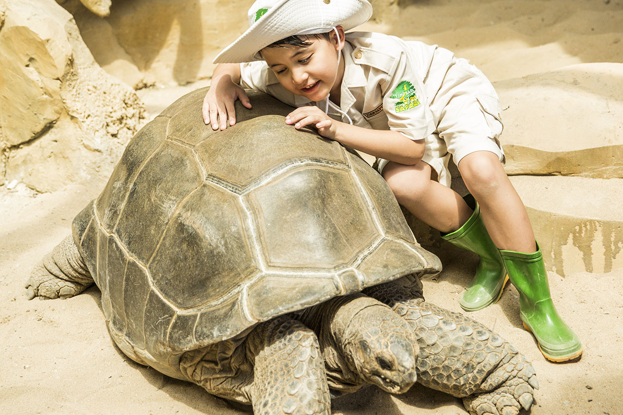 khu bảo tồn động vật hoang dã Safari Phú Quốc